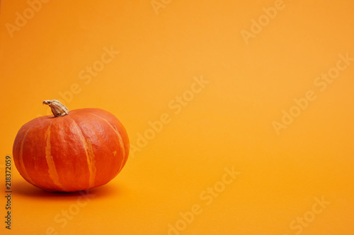 Bilde på lerret single whole ripe pumpkin on orange background