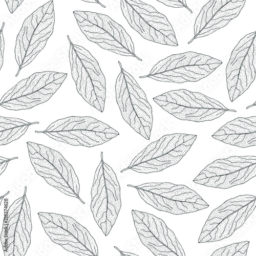 Bay leaf seamless pattern. Hand-drawn Laurel leaves on a white background. Vector drawing.