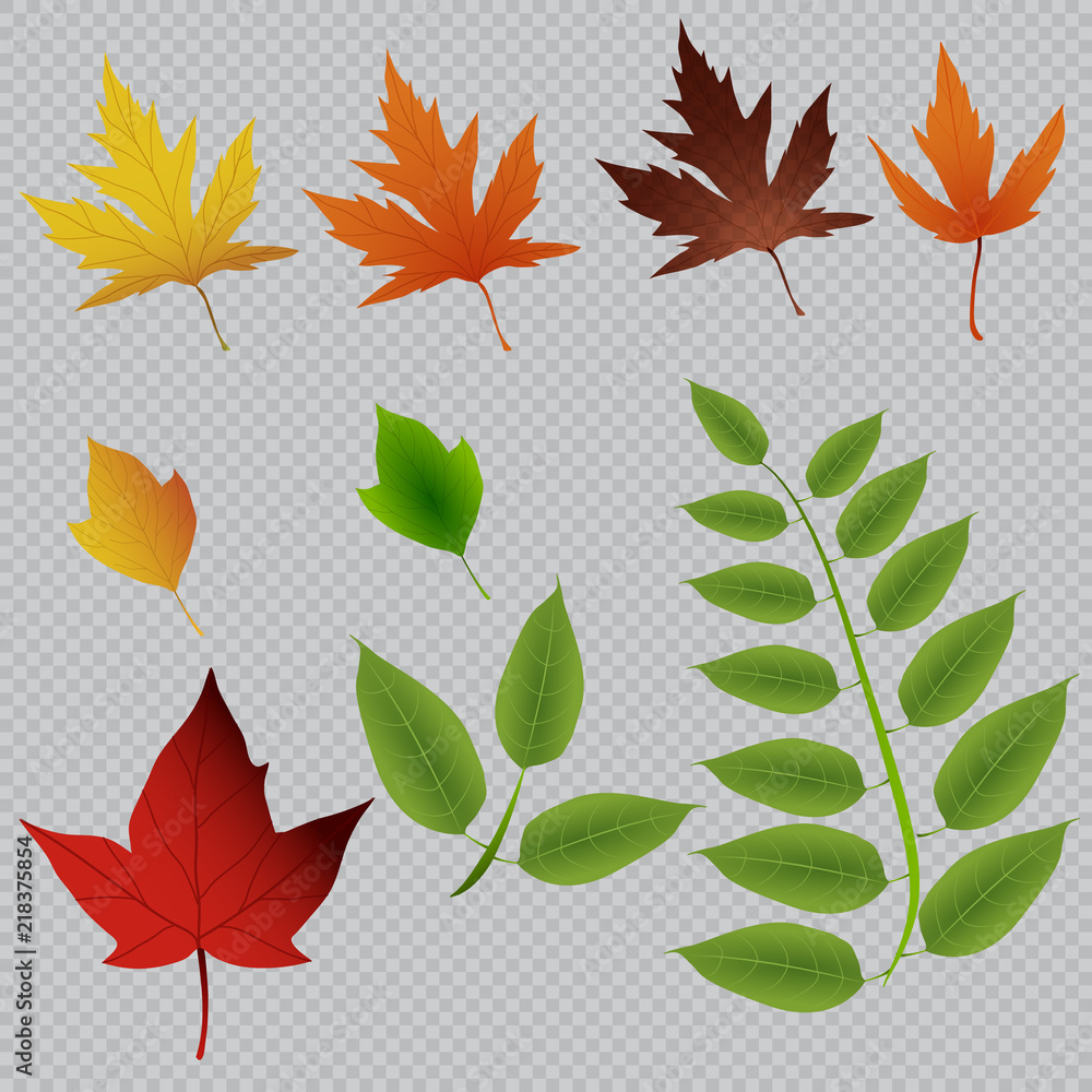 Vector background with red, orange, brown and yellow falling autumn leaves