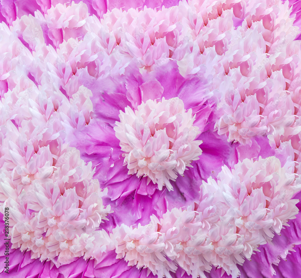 flower pattern flower pattern