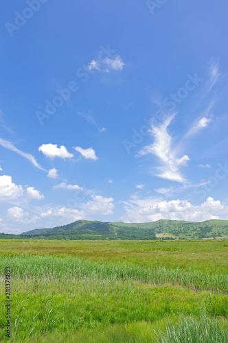 夏の八島湿原