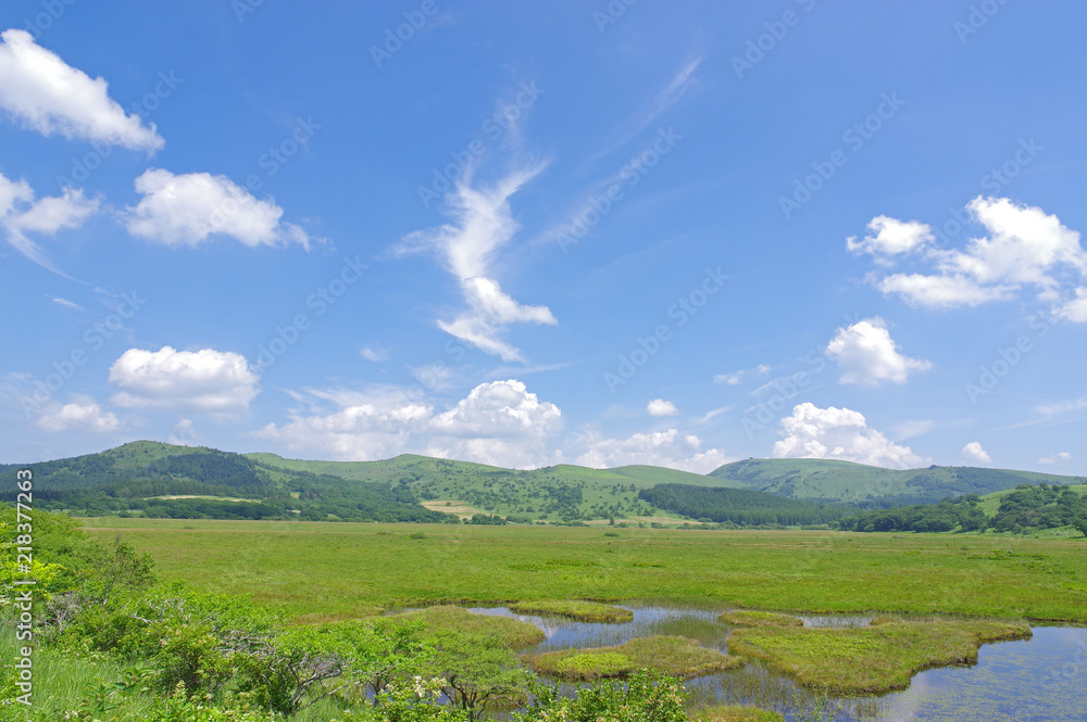 夏の八島湿原 夏の八島湿原