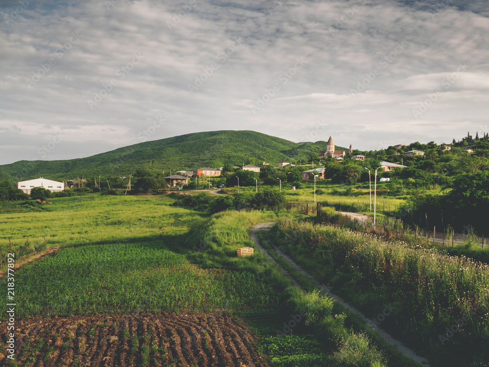 beautiful green fields, road and hills near village in georgia