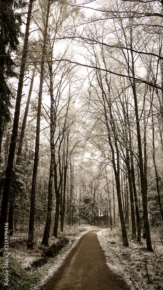 Forest Pathway in winter with snow on the ground. Taken in Dentlein Am Forst in Bavaria, Germany Forest Pathway in winter with snow on the ground. Taken in Dentlein Am Forst in Bavaria, Germany