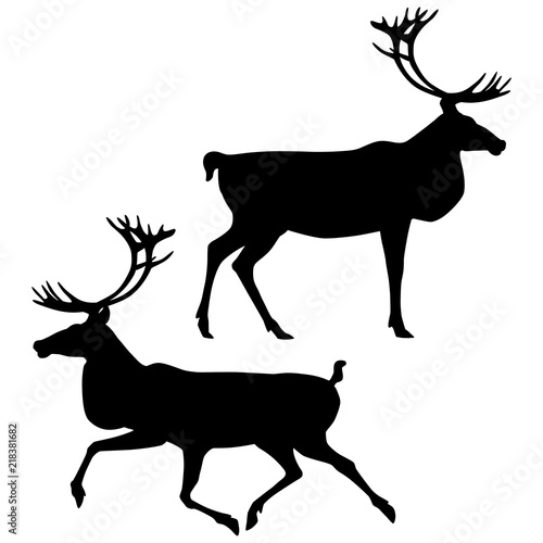 Black silhouettes of standing and running caribou isolated on white background. Vector illustration EPS 8