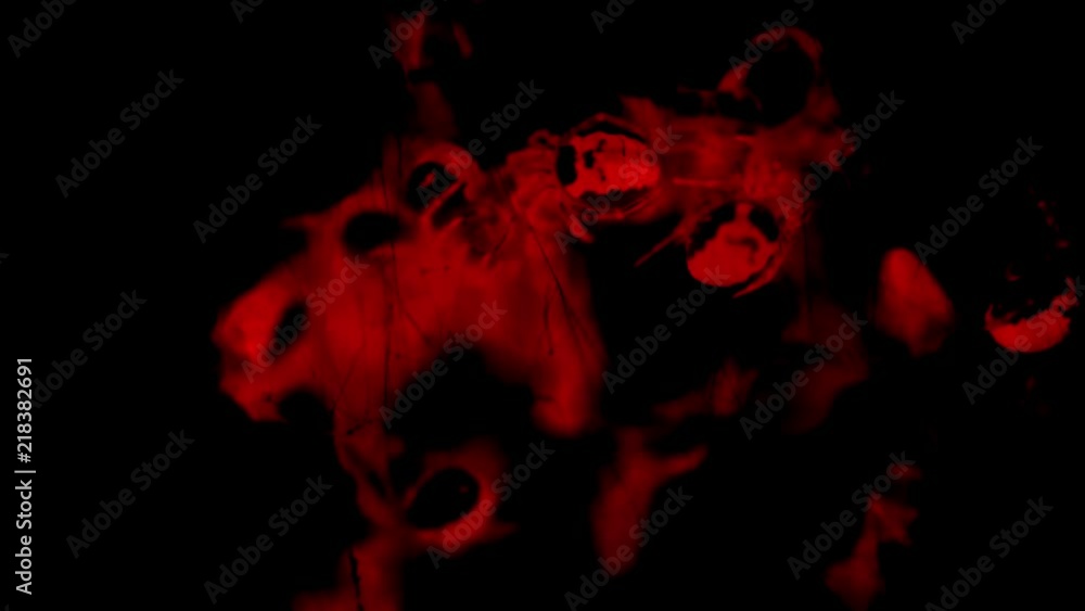 Creepy red spiders crawling in web nest, abstract Halloween background.mov Creepy red spiders crawling in web nest, abstract Halloween background.mov