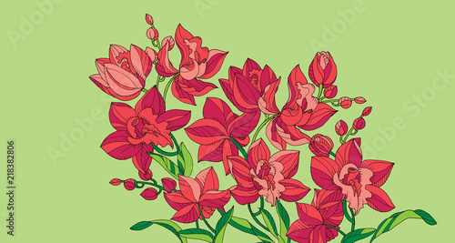 Sketch style line-art pink orchid flowers