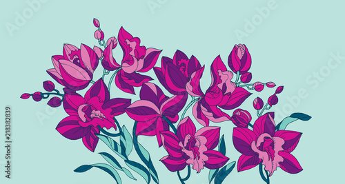 Sketch style line-art pink orchid flowers