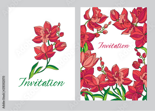 Sketch style line-art pink orchid flowers