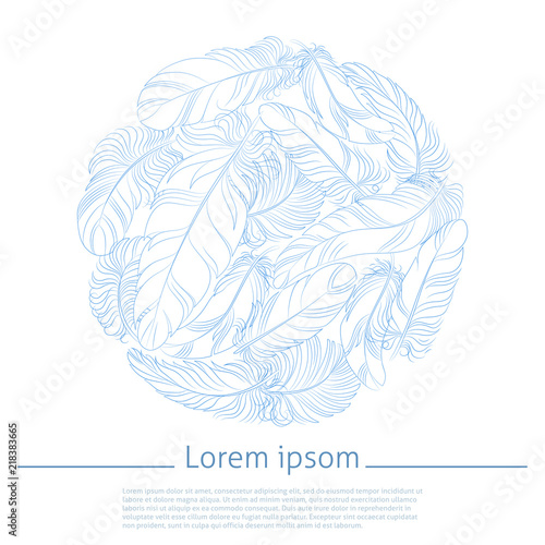 feathers greeting vector card
