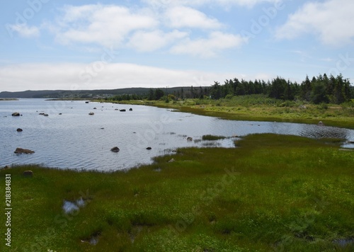 landscape around the Irish Loop  view along the shores of the Renews River estuary  Avalon peninsula Newfoundland Canada 