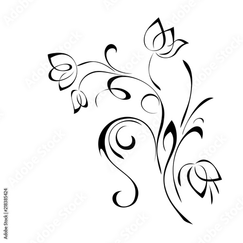ornament 306. floral ornament with curls in black lines on a white background
