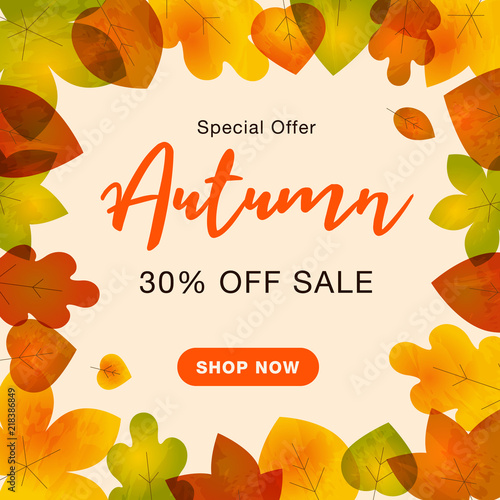 Autumn special offer sale background with colorful fall leaves and call to action button. Easy to use for your website or presentation.
