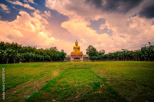 Big Buddha statue in the garden on a bright sky day