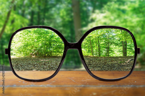 Fototapeta Naklejka Na Ścianę i Meble -  Brille mit unscharfem Wald im Hintergrund