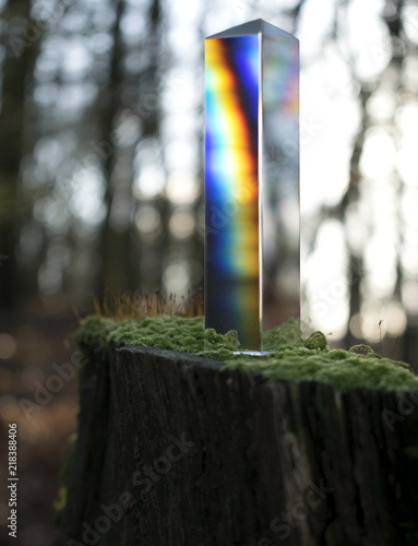 Glass prism in a forest