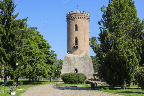 Konstfotografi View of The Chindia Tower (Sunset Tower) between trees of Princely Court, in Targoviste, Romania