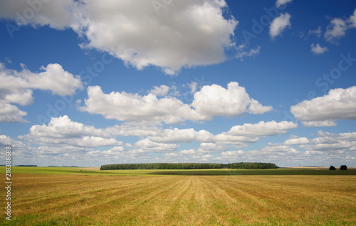 summer landscape with white clouds above the field