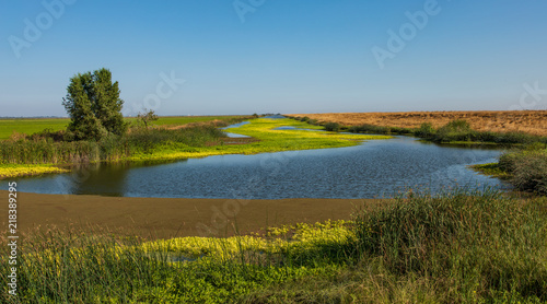 Wetlands and canel in Sacramento farm land with yellow flowers © James Sakaguchi