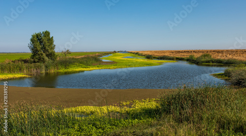 Wetlands and canel in Sacramento farm land with yellow flowers