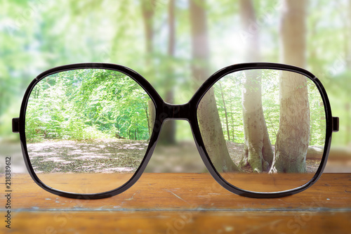 Brillengläser mit unscharfem Hintergrund, im Wald.