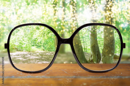 Fototapeta Naklejka Na Ścianę i Meble -  Klare Sicht durch die Brille im Wald