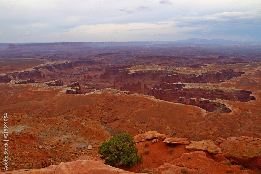Grand View Point, Island in the sky district, Canyonlands National Park in Utah 