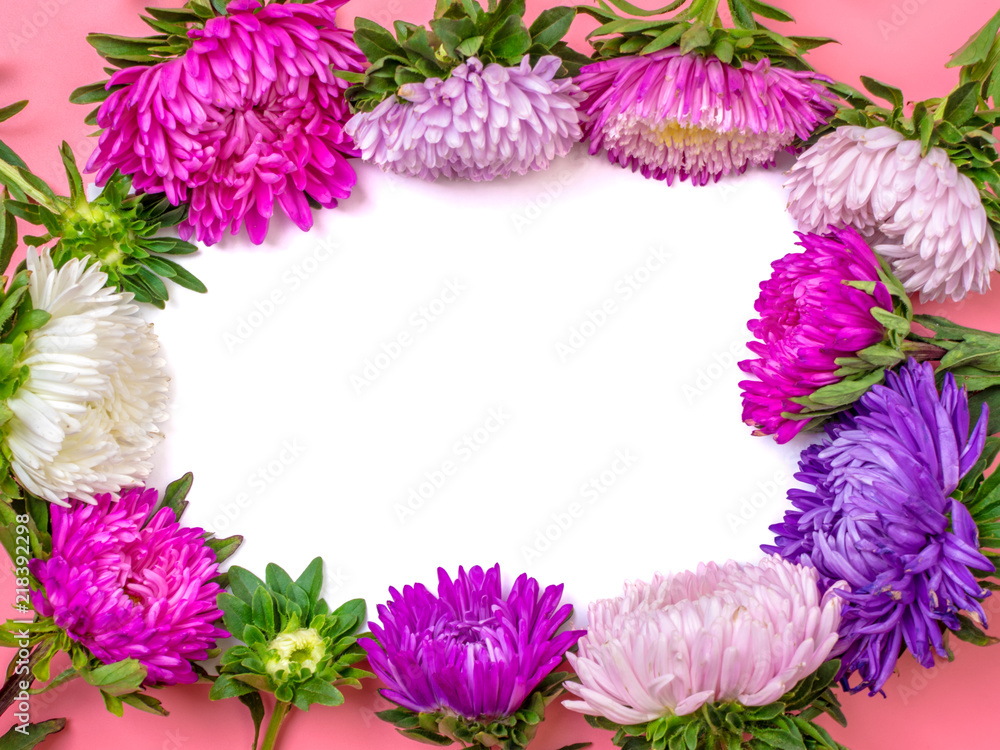 Beautiful Aster Flowers, notepad on pastel pink color background mock up with copy space for your text. Flat lay, top view Concept of spring, summer and autumn Beautiful Aster Flowers, notepad on pastel pink color background mock up with copy space for your text. Flat lay, top view Concept of spring, summer and autumn