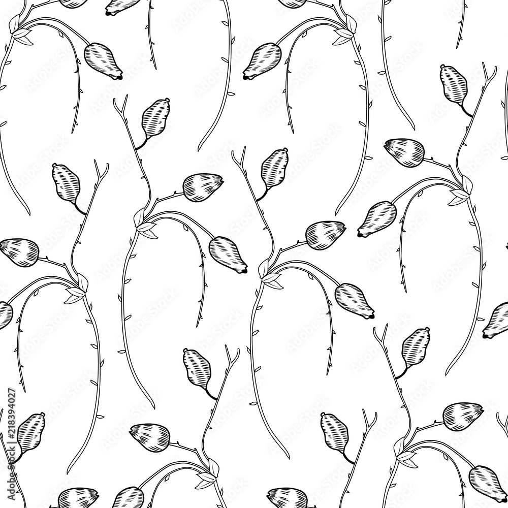 Seamless floral pattern, Barberry hand drawn branch vector sketch isolated on white background, line art red berry, Natural spicy herbs, cooking ingredient for design package tea, cosmetic, textile
