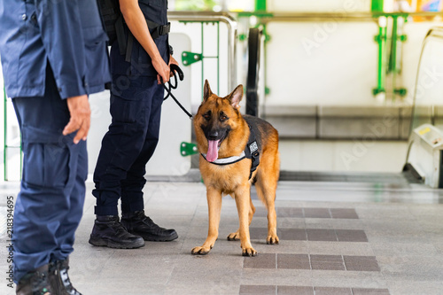 Police dog standing in the train station