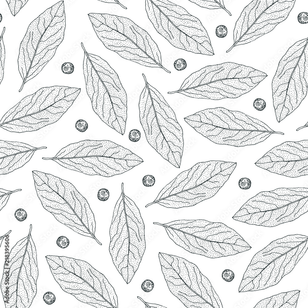 Spice pattern. Hand drawn seamless pattern with Bay leaves and allspice. Vector drawing on white background.