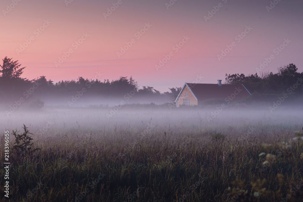 Beautiful fog and mist nature landscape during colorful twilight in danish meadow. Lønstrup in North Jutland in Denmark, Skagerrak, North Sea