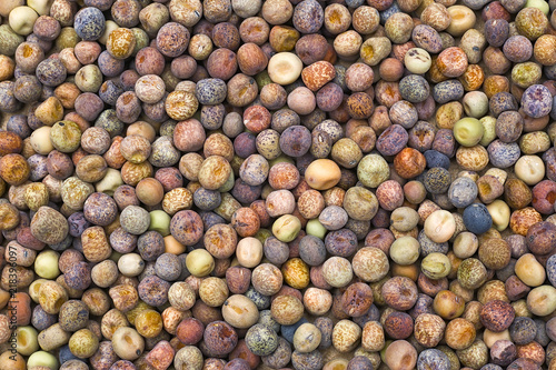 Roveja beans (Pisum sativum var. arvense), robiglio, austrian winter pea, Background food, seeds in a rainbow of colors