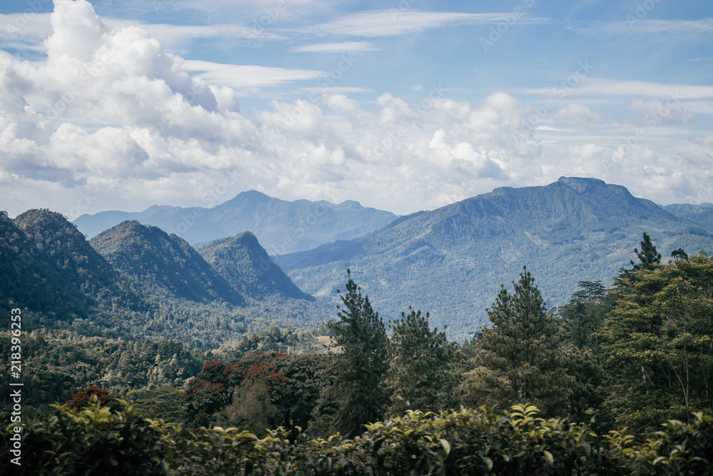 Obraz premium sri lankan landscape