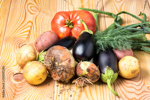 Set of different fresh raw colorful vegetables near the wooden tray, light background