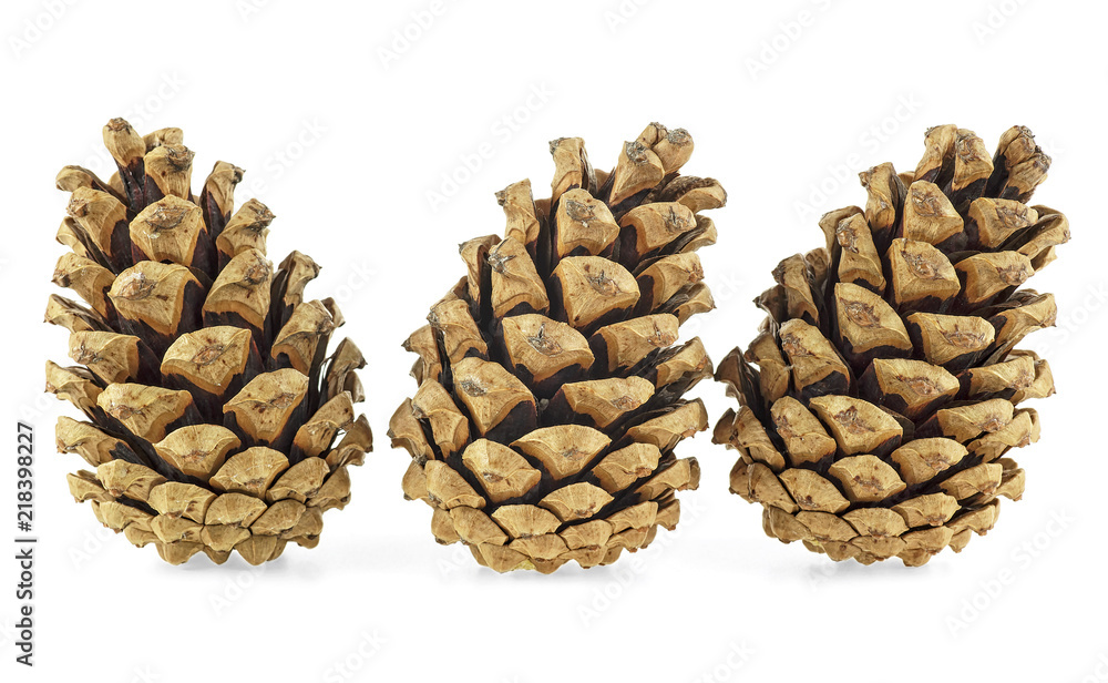 Three brown pine cones on white background Three brown pine cones on white background