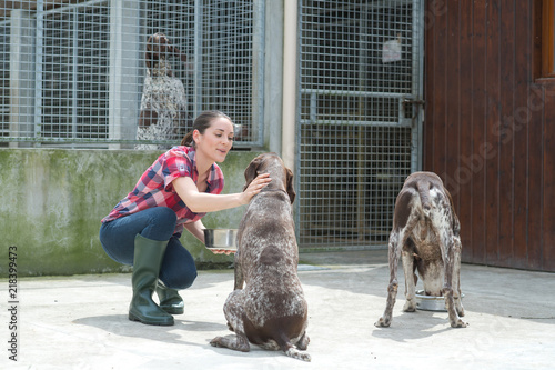 Canvastavla at a dog's home