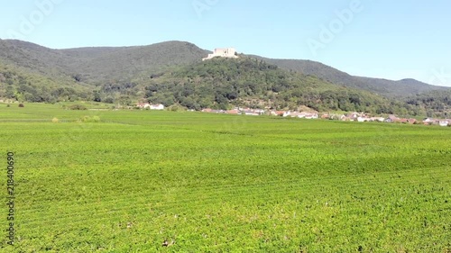 Flug über die Weinberge, im Hintergrund das Hambacher Schloss photo