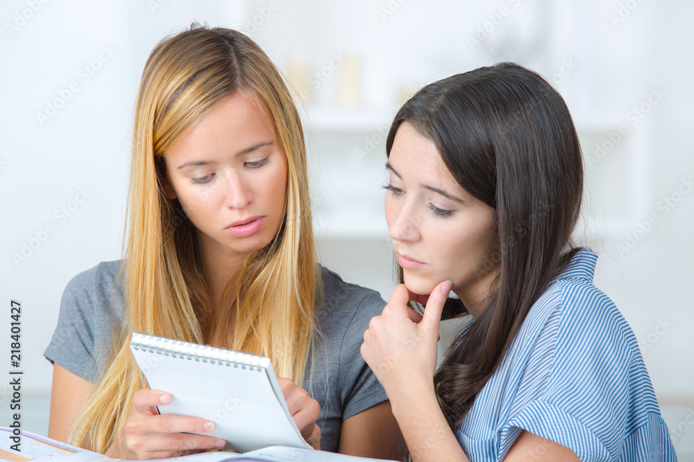 two female students studying together at home two female students studying together at home