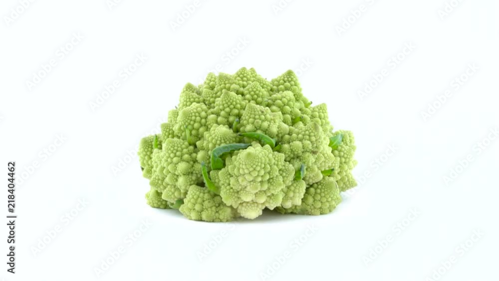One whole mini romanesco broccoli is rotating on the turntable isolated on the white background. Close-up. Macro. One whole mini romanesco broccoli is rotating on the turntable isolated on the white background. Close-up. Macro.