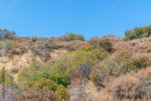 Steep Southern California hills with deep dry brush covering hillsides