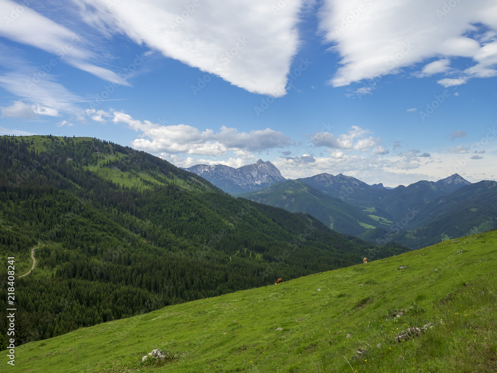 Ackernalm en Autriche. Paysages naturels de montagnes et de pâturages verdoyants du tyrol
