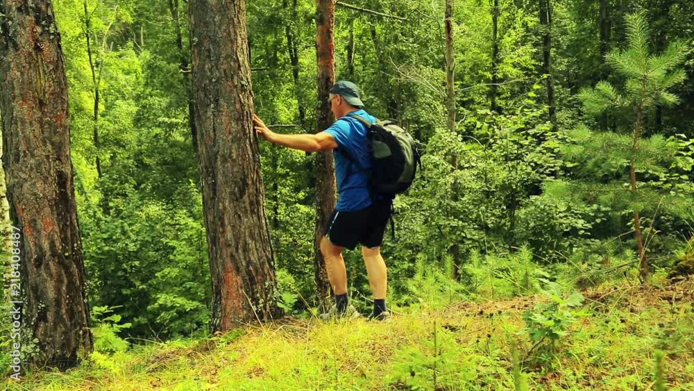 A man with a backpack descends from a hill in the middle of the forest. A man with a backpack descends from a hill in the middle of the forest.