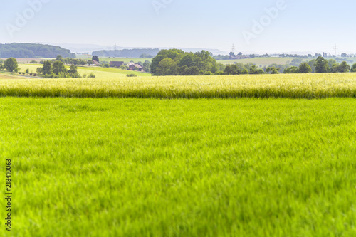 agricultural scenery at spring time © PRILL Mediendesign