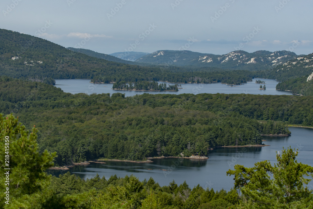 Stunning view of the national park