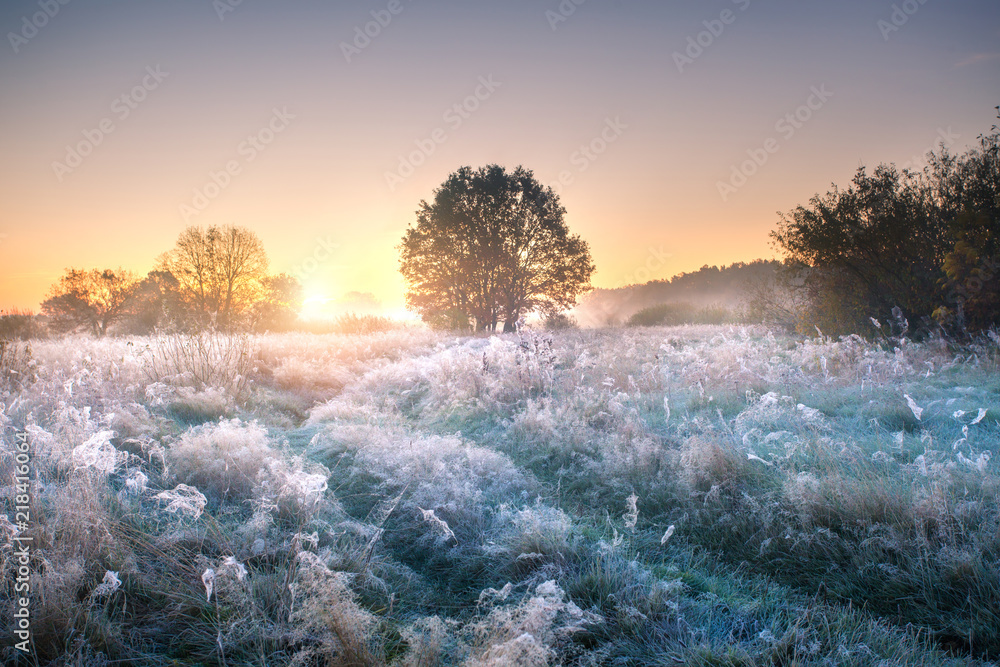 Fototapeta premium Autumn nature