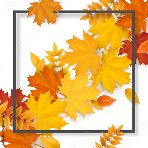 Black frame with autumn fallen leaves on white background. Background for seasonal sale offer or design element banner.