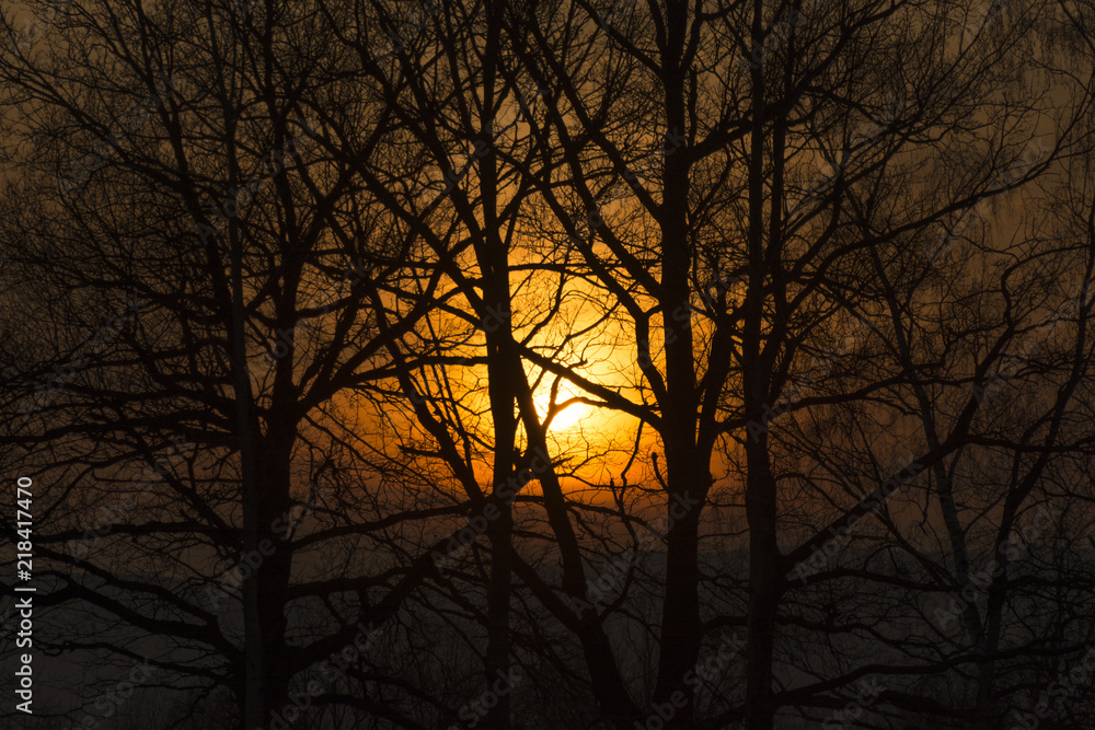 Sunset behind trees without leaves. Silhouette of trees and their branches. Sunset behind trees without leaves. Silhouette of trees and their branches.