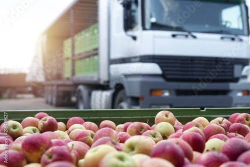 Dystrybucja owoców i żywności. Ciężarówka załadowana kontenerami pełnymi jabłek gotowych do wysyłki na rynek.