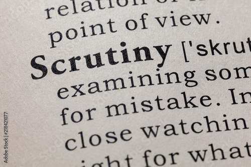 definition of scrutiny